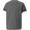 Puma Marškinėliai Paaugliams TeamRise Jersey Pilkas 704938 13