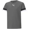 Puma Marškinėliai Paaugliams TeamRise Jersey Pilkas 704938 13