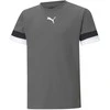 Puma Marškinėliai Paaugliams TeamRise Jersey Pilkas 704938 13