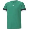 Puma Marškinėliai Paaugliams TeamRise Jersey Žalias 704938 05