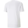 Puma Marškinėliai Vyrams Active Big Logo T Baltas 586724 02