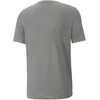 Puma Marškinėliai Vyrams Active Big Logo Tee Pilkas 586724 09