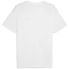 Puma Marškinėliai Vyrams Ess 2 Color Small No. 1 Logo Tee Baltas 684717 02
