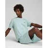 Puma Marškinėliai Vyrams Ess 2 Color Small No. 1 Logo Tee Mint 684717 67