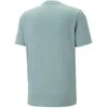 Puma Marškinėliai Vyrams Ess Elevated Pigue Tee Žalias 673385 85