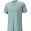 Puma Marškinėliai Vyrams Ess Elevated Pigue Tee Žalias 673385 85