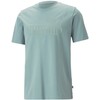 Puma Marškinėliai Vyrams Ess Elevated Pigue Tee Žalias 673385 85