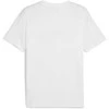 Puma Marškinėliai Vyrams Ess Logo Lab TeeWhite 684667 02