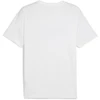 Puma Marškinėliai Vyrams Ess Logo Lab TeeWhite 684667 02