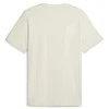 Puma Marškinėliai Vyrams Ess Small Logo Tee rusvai gelsvas 586669 88
