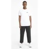 Puma Marškinėliai Vyrams ESS Small Logo Tee Baltas 586668 02