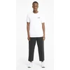Puma Marškinėliai Vyrams ESS Small Logo Tee Baltas 586668 02