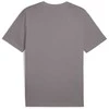 Puma Marškinėliai Vyrams Ess Small No.1 Logo Tee Pilkas 682535 79