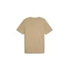 Puma Marškinėliai Vyrams Graphics Execution Tee rusvai gelsvas 680183 83