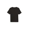 Puma Marškinėliai Vyrams Graphics Execution Tee Juodas 680183 01