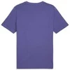 Puma Marškinėliai Vyrams Graphics Icon Tee Violetinė 684829 46