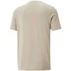Puma Marškinėliai Vyrams Graphics Retro Tee Granola Kreminis 674486 88
