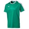 Puma Marškinėliai Vyrams Liga Jersey Pepper Žalias 703417 05
