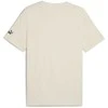 Puma Marškinėliai Vyrams Sport Tee rusvai gelsvas 684617 87