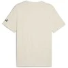 Puma Marškinėliai Vyrams Sport Tee rusvai gelsvas 684617 87