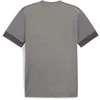 Nike Maudymosi Šortai Vyrams Logo Solid 5""In Short Gray NESSA566 018