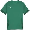 Puma Marškinėliai Vyrams TeamGoal Matchday Jersey Žalias 705747 05