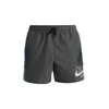 Nike Maudymosi Šortai Vyrams Logo Solid 5""In Short Gray NESSA566 018
