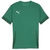 Puma Marškinėliai Vyrams TeamGoal Matchday Jersey Žalias 705747 05