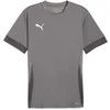 Puma Marškinėliai Vyrams TeamGoal Matchday Jersey Pilkas 705747 13
