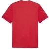 Puma Marškinėliai Vyrams TeamGoal Matchday Jersey Raudona 705747 01