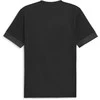 Puma Marškinėliai Vyrams TeamGoal Matchday Jersey Juodas 705747 03