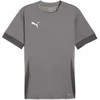 Puma Marškinėliai Vyrams TeamGoal Matchday Jersey Pilkas 705747 13