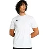 Puma Marškinėliai Vyrams TeamGoal Matchday Jersey Baltas 705747 04