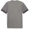Nike Maudymosi Šortai Vyrams Logo Solid 5""In Short Gray NESSA566 018