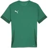 Puma Marškinėliai Vyrams TeamGoal Matchday Jersey Žalias 705747 05