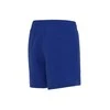 Nike Maudymosi Šortai Paaugliams Nk B Ess 4'' Volley Short Mėlyna NESSB866 494
