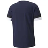 Puma Futbolo Marškinėliai Vyrams TeamRise Jersey Navy 704932 06
