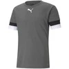 Puma Futbolo Marškinėliai Vyrams TeamRise Jersey Pilkas 704932 13