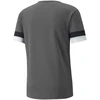 Puma Futbolo Marškinėliai Vyrams TeamRise Jersey Pilkas 704932 13