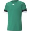 Puma Futbolo Marškinėliai Vyrams TeamRise Jersey Žalias 704932 05