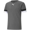 Puma Futbolo Marškinėliai Vyrams TeamRise Jersey Pilkas 704932 13