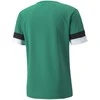 Puma Futbolo Marškinėliai Vyrams TeamRise Jersey Žalias 704932 05