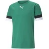 Puma Futbolo Marškinėliai Vyrams TeamRise Jersey Žalias 704932 05