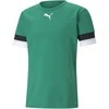Puma Futbolo Marškinėliai Vyrams TeamRise Jersey Žalias 704932 05