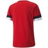 Puma Futbolo Marškinėliai Vyrams TeamRise Jersey Raudona 704932 01