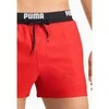 Puma Maudymosi Šortai Swim Men Raudona