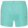Puma Maudymosi Šortai Vyrams Swim Men Žalias 907658 19