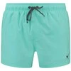 Puma Maudymosi Šortai Vyrams Swim Men Žalias 907658 19