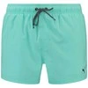 Puma Maudymosi Šortai Vyrams Swim Men Žalias 907658 19