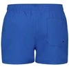 Puma Maudymosi Šortai Vyrams Swim Men Mėlyna 907658 20